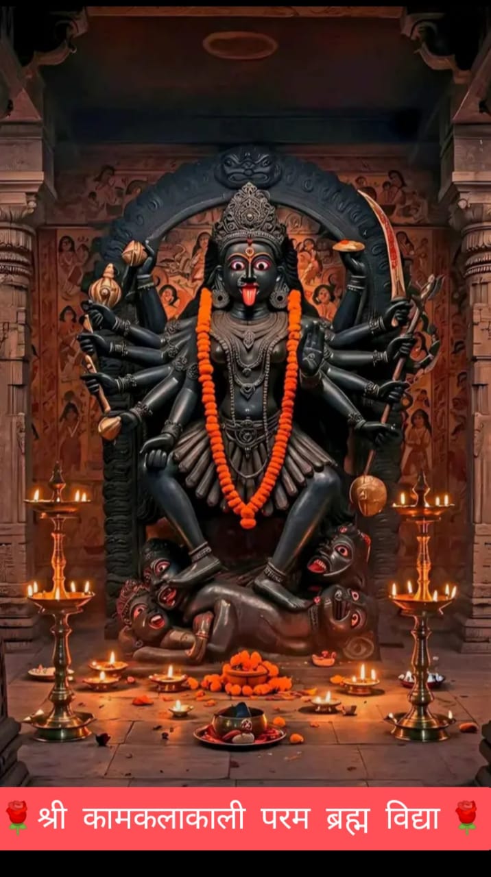 Chhinnamasta Deeksha - छिन्नमस्ता दीक्षा 3 Chhinnamasta Deeksha - छिन्नमस्ता दीक्षा - Image 3